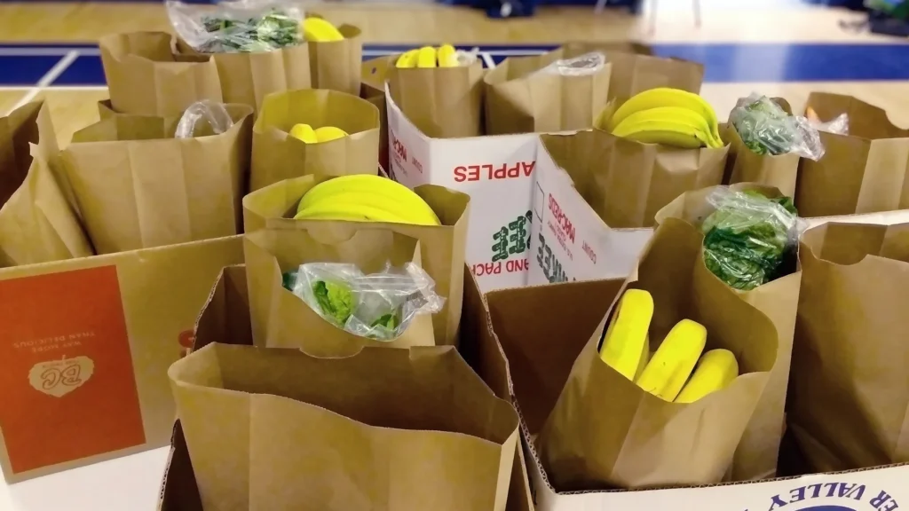 Photo of a bunch of Good Food Box bags ready to go out. Bananas and leafy greens can be seen poking out the tops of some of the bags.